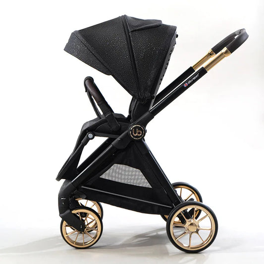 Hot Selling Stroller 2 in 1 Pram Baby