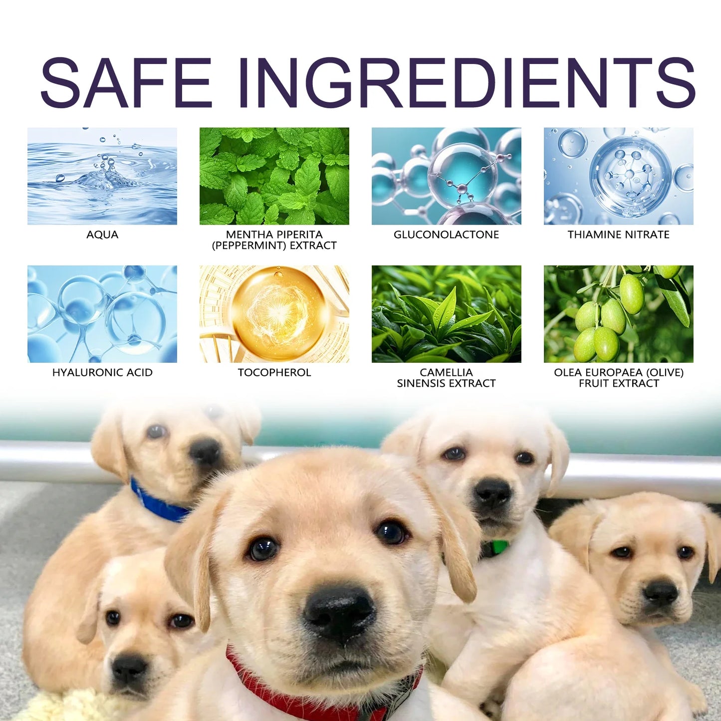 Natural Plant Extracts Bitter Pet Anti-chewing Spray Drives Away Dogs and Cats From Scratching and Biting the Sofa Spray