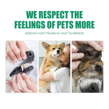 Yegbong Pet Tooth Finger Set Dog Cat Tartar Stone Oral Cleaning Care