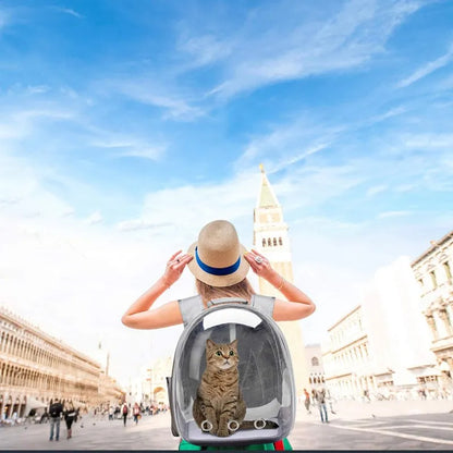 Portable Breathable Oxford Polyester Zipper Transparent Outside Cat Bag Pet Backpack Carrier for Cats