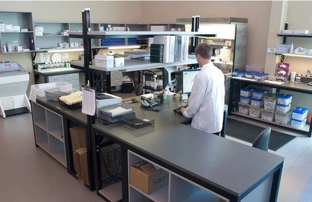 Bovine Rotavirus IgA(RV-IgA)ELISA Kit