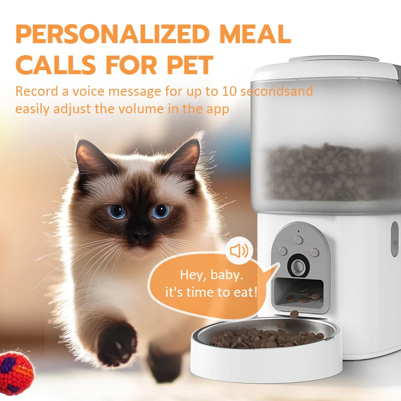 Factory 2 in 1 Video Wifi App Control Smart Pet Feeder and Water Dispenser Automatic Camera Pet Food Bowl Feeder for Dog Cat