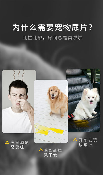 Thickened Deodorizing and Absorbent Pet Pee Pads for Training Teddy to Use the Toilet, Disposable Dog Diapers Wholesale