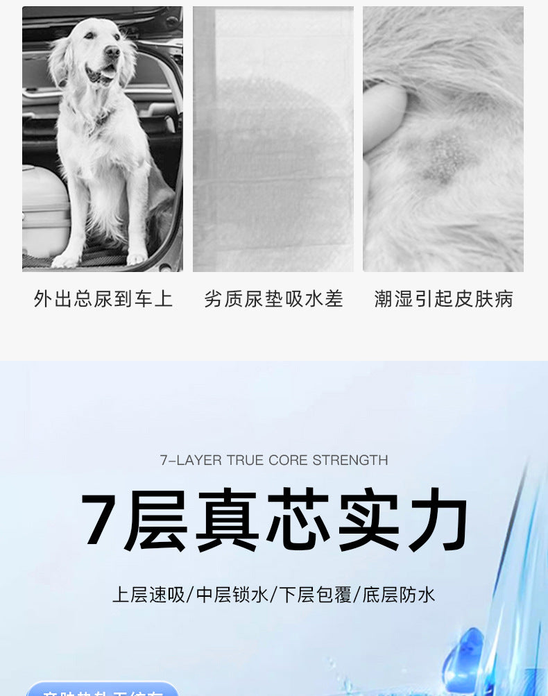 Dog Diaper Pad, Pet Diaper, Thick Deodorizing Disposable Absorbent Pad, Diaper Pad, Thickened Dog Diaper Pad