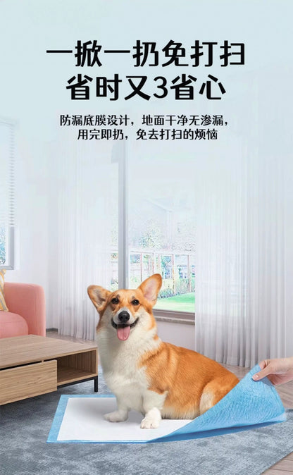 Wholesale pet urine pads, thickened deodorizing dog urine pads, small pet disposable absorbent pads, disposable diapers