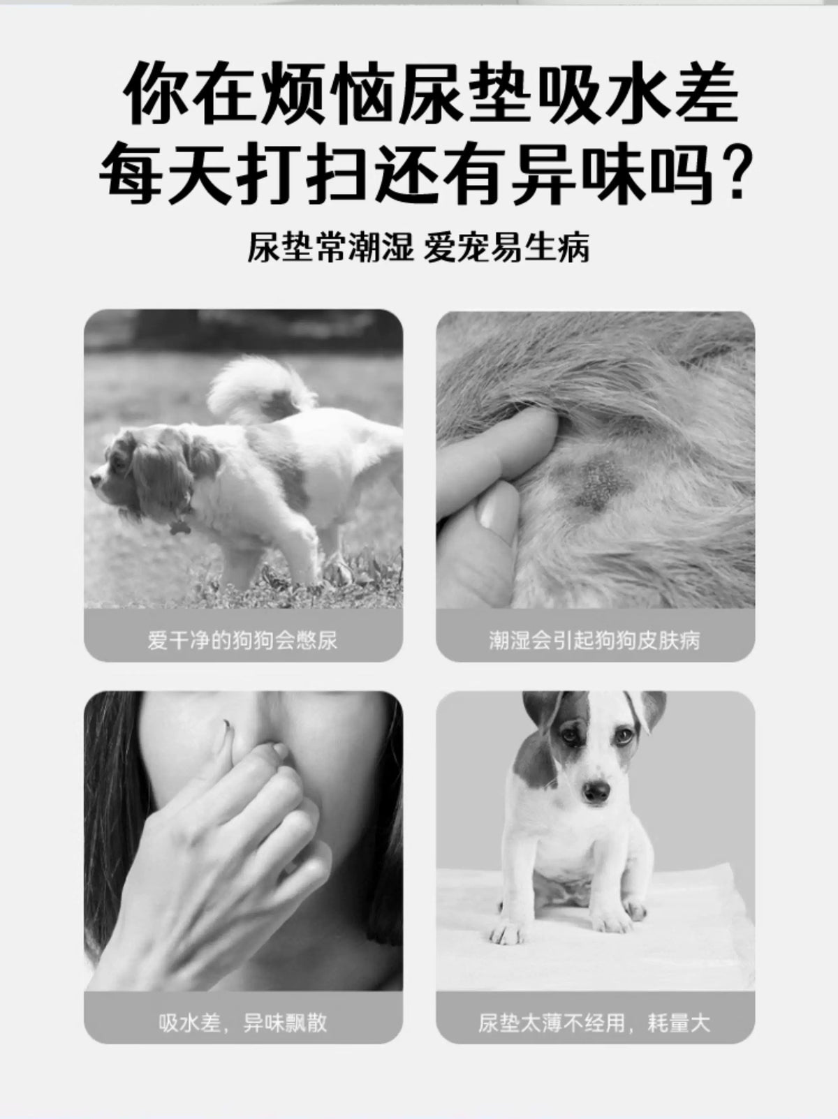 Wholesale pet urine pads, thickened deodorizing dog urine pads, small pet disposable absorbent pads, disposable diapers