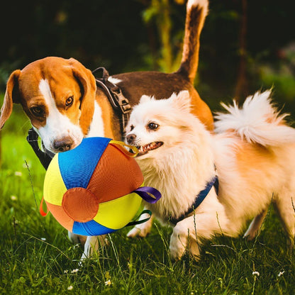 Cross-Border Sheep Horse Dog Herding Ball—Durable Solid Color Polyester Inflatable Training and Exercise Toy Pet Game Ball