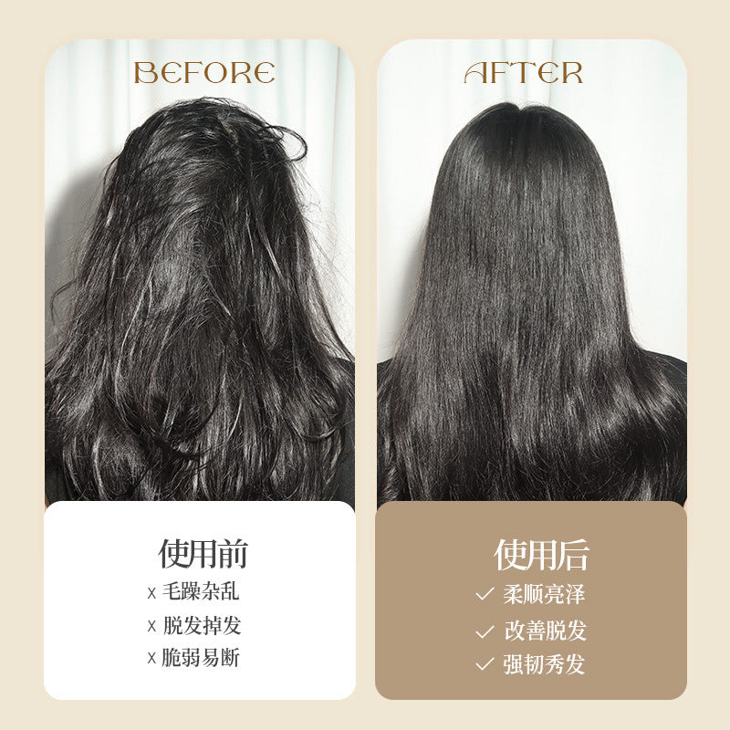 Natural and Authentic Boar Bristle Air Cushion Comb Air Bag Massage Comb Scalp Meridian Fluffy Bamboo Comb Beech Wood Comb Wholesale