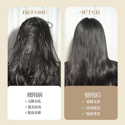 Natural and Authentic Boar Bristle Air Cushion Comb Air Bag Massage Comb Scalp Meridian Fluffy Bamboo Comb Beech Wood Comb Wholesale