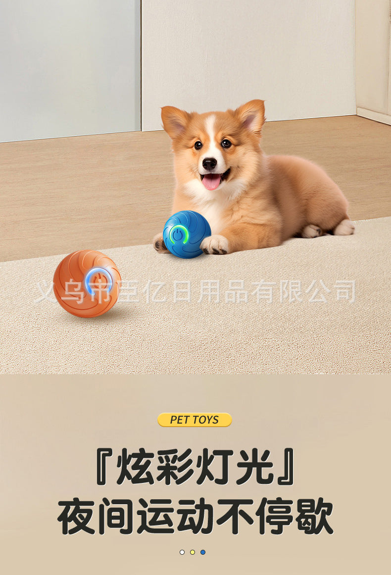 Cross-Border Cat Teaser Ball Pet Toy Ball Dog and Cat Self-Entertainment Boredom-Relief Gadget Pet Toy Cat Toy Pet Supplies