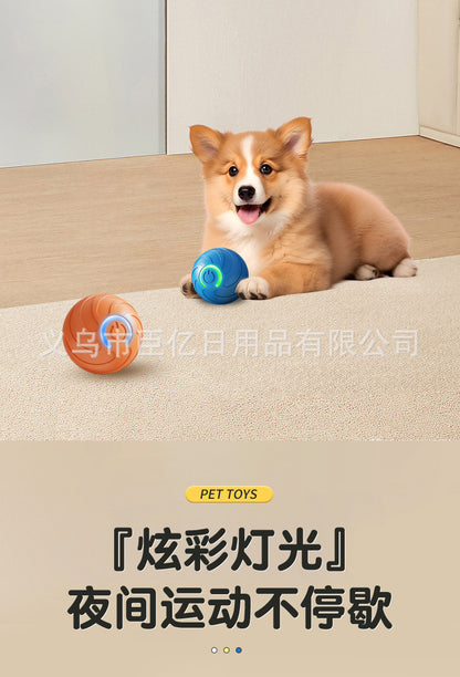 Cross-Border Cat Teaser Ball Pet Toy Ball Dog and Cat Self-Entertainment Boredom-Relief Gadget Pet Toy Cat Toy Pet Supplies