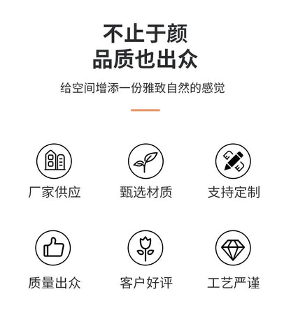 Cross-border Hot Pig Mane Big Bend Comb Fluffy Curly Hair Styling Comb Anti-static Hair Comb Home Hair Massage Comb