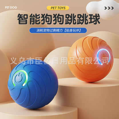 Cross-Border Cat Teaser Ball Pet Toy Ball Dog and Cat Self-Entertainment Boredom-Relief Gadget Pet Toy Cat Toy Pet Supplies