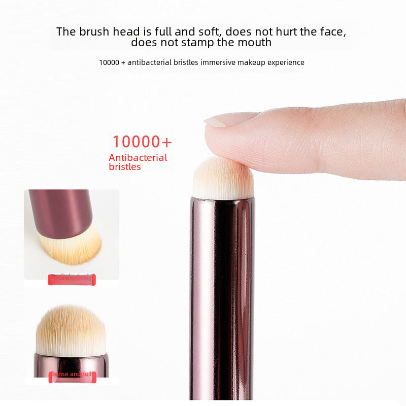 Round head lip brush wholesale girl lip halo concealer brush makeup brush beginner portable lipstick brush beauty makeup tools