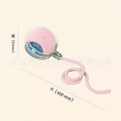 Cross-Border Cat Teaser Ball Pet Toy Ball Dog and Cat Self-Entertainment Boredom-Relief Gadget Pet Toy Cat Toy Pet Supplies