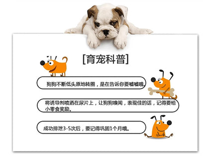 Thickened Deodorizing and Absorbent Pet Pee Pads for Training Teddy to Use the Toilet, Disposable Dog Diapers Wholesale