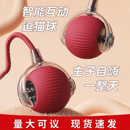 Cross-Border Cat Teaser Ball Pet Toy Ball Dog and Cat Self-Entertainment Boredom-Relief Gadget Pet Toy Cat Toy Pet Supplies