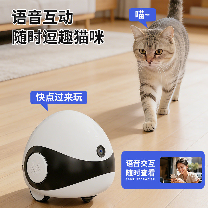Smart Laser Cat Teaser Camera Wireless Remote Companion for Pets Cross-Border Hot-Selling Pet Monitoring Factory Wholesale