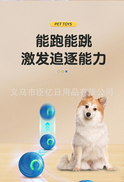 Cross-Border Cat Teaser Ball Pet Toy Ball Dog and Cat Self-Entertainment Boredom-Relief Gadget Pet Toy Cat Toy Pet Supplies
