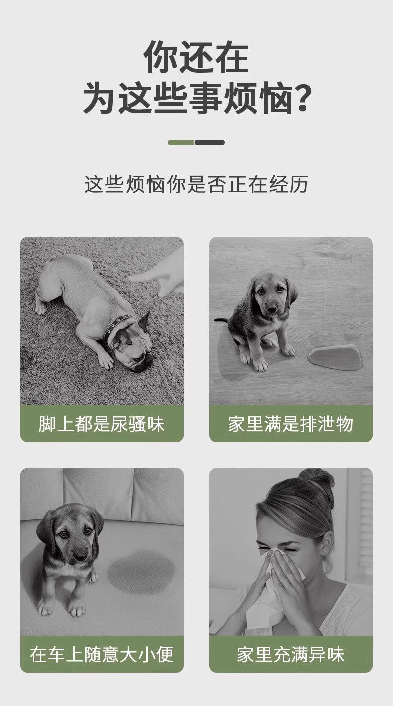 Pet Pee Pads, Thickened, Deodorizing, Absorbent, Dog Pee Pads, Cat Pee Pads, Teddy Toilet Disposable Diapers Wholesale