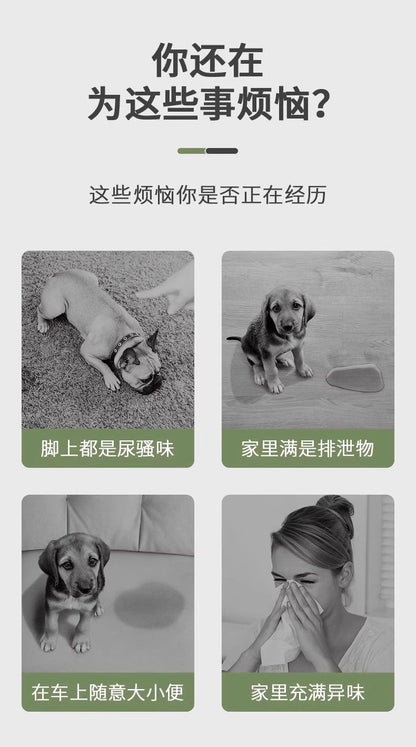 Dog Pee Pads Cross-Border Shipping Pet Training Pee Pads Disposable Thickened Deodorizing Absorbent Diapers Wholesale
