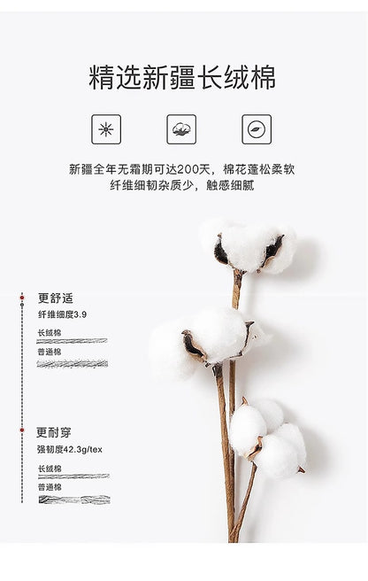Early Spring Short Hooded Sweatshirt Jacket for Petite Women, Spring Outfit 2026 New Style, Regular Shoulder Cardigan for Spring and Autumn