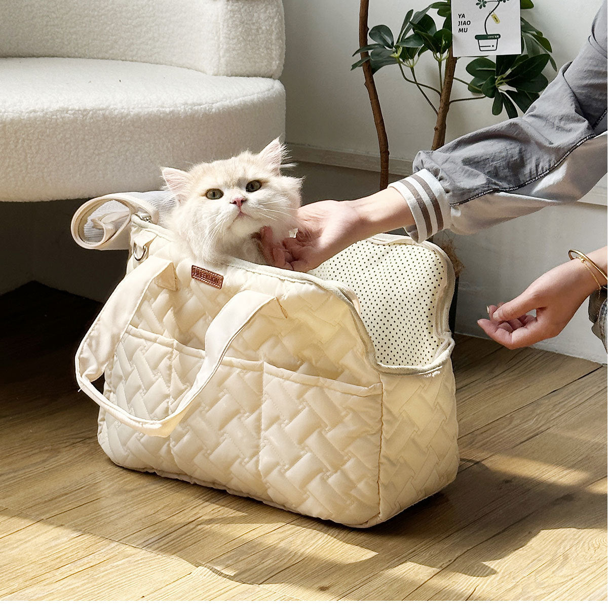 Cat Bag Outgoing Portable Breathable Shoulder Breathable Small Dog Bag Portable Lightweight Canvas Cat Pet Crossbody Backpack