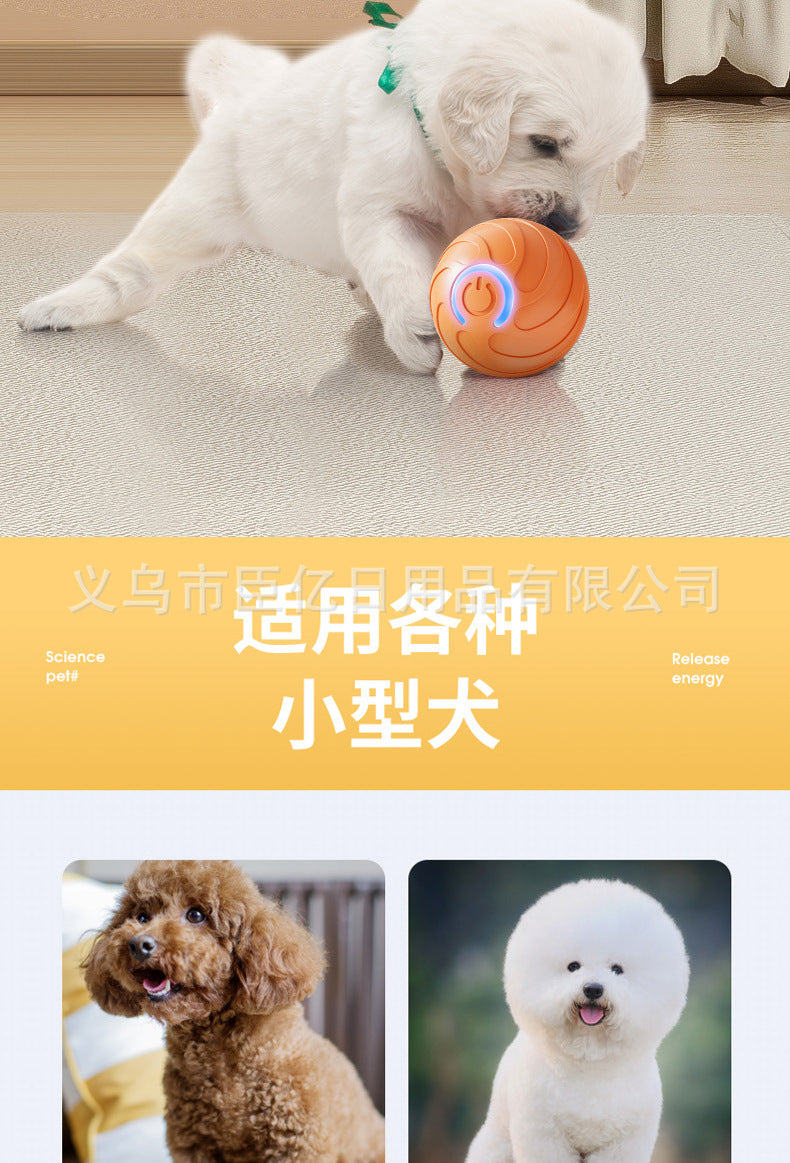 Cross-Border Cat Teaser Ball Pet Toy Ball Dog and Cat Self-Entertainment Boredom-Relief Gadget Pet Toy Cat Toy Pet Supplies