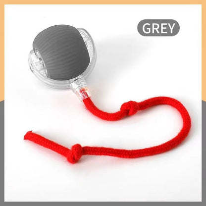 Cross-Border Cat Teaser Ball Pet Toy Ball Dog and Cat Self-Entertainment Boredom-Relief Gadget Pet Toy Cat Toy Pet Supplies