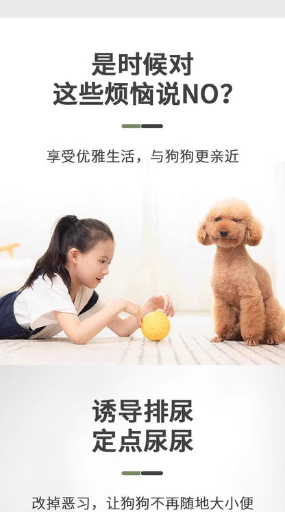 Pet Pee Pads, Thickened, Deodorizing, Absorbent, Dog Pee Pads, Cat Pee Pads, Teddy Toilet Disposable Diapers Wholesale