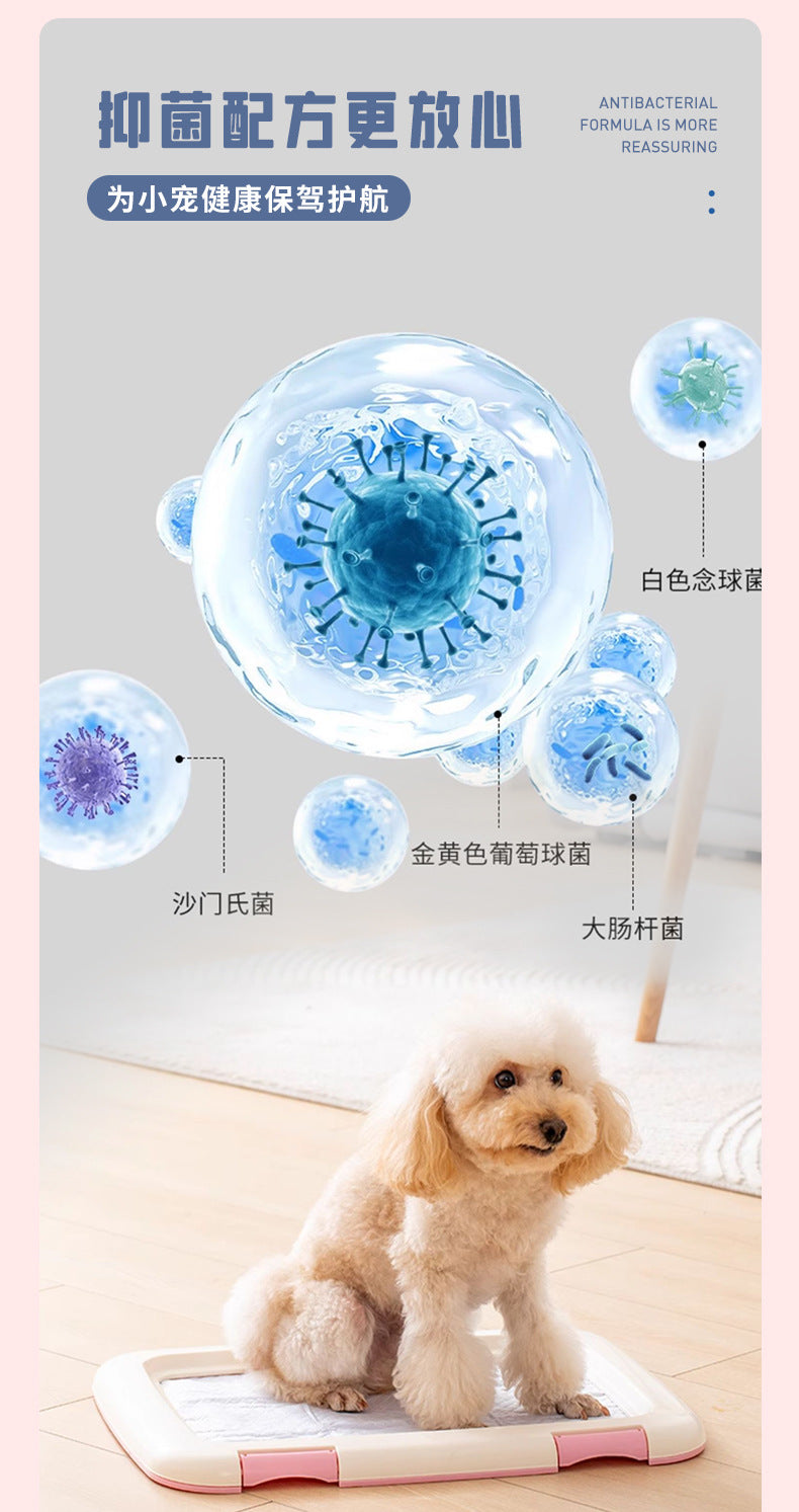 Bundle stain pet urine stone cleaner deodorant to urine odor dog urine biological enzyme decomposer indoor deodorant spray