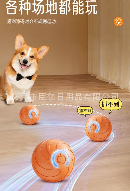 Cross-Border Cat Teaser Ball Pet Toy Ball Dog and Cat Self-Entertainment Boredom-Relief Gadget Pet Toy Cat Toy Pet Supplies