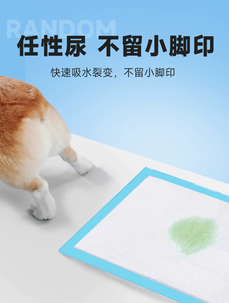 Cross-border pet urine pads for dogs, thickened, deodorizing, absorbent, urine-proof pads for puppies, cat toilet training disposable pads