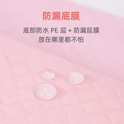 Thickened Deodorizing and Absorbent Pet Pee Pads for Training Teddy to Use the Toilet, Disposable Dog Diapers Wholesale
