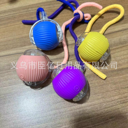 Cross-Border Cat Teaser Ball Pet Toy Ball Dog and Cat Self-Entertainment Boredom-Relief Gadget Pet Toy Cat Toy Pet Supplies