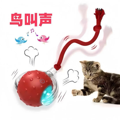 Cross-Border Cat Teaser Ball Pet Toy Ball Dog and Cat Self-Entertainment Boredom-Relief Gadget Pet Toy Cat Toy Pet Supplies