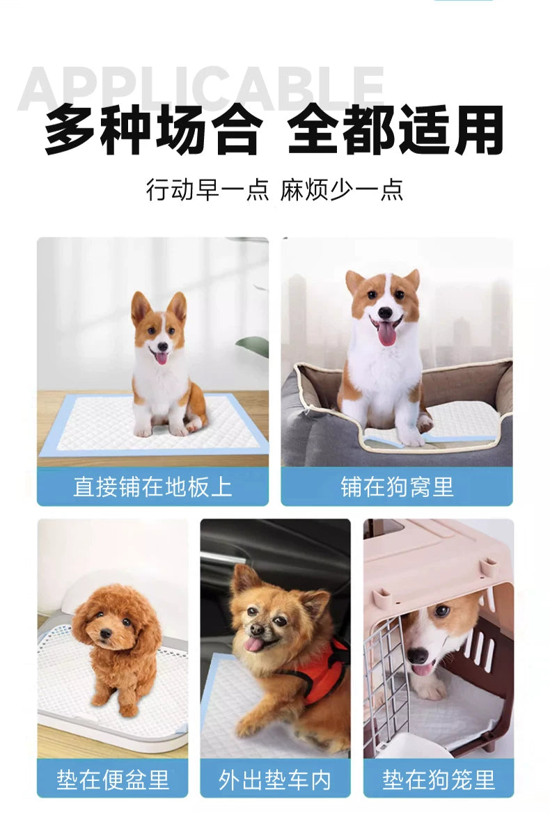 Cross-border pet urine pads for dogs, thickened, deodorizing, absorbent, urine-proof pads for puppies, cat toilet training disposable pads