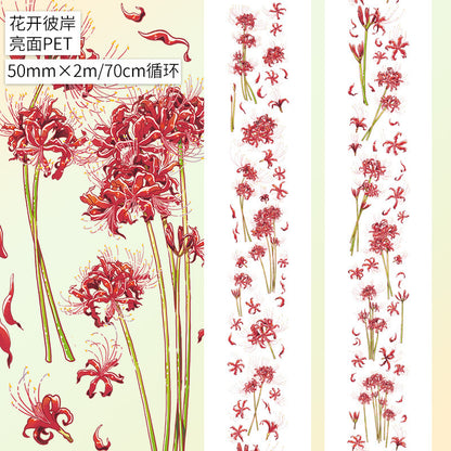 New pet Journal tape flower special material autumn letter simple full roll material shell optical flow hemp Journal tape