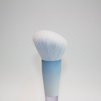 Chen Yuanyuan 10-Piece Makeup Brush Set, Blush Brush, Loose Powder Brush, Eye Shadow Brush, Nose Shadow Brush, Complete Set for Setting Makeup and Contouring