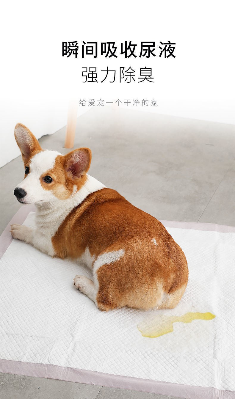 Thickened Deodorizing and Absorbent Pet Pee Pads for Training Teddy to Use the Toilet, Disposable Dog Diapers Wholesale