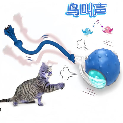 Cross-Border Cat Teaser Ball Pet Toy Ball Dog and Cat Self-Entertainment Boredom-Relief Gadget Pet Toy Cat Toy Pet Supplies