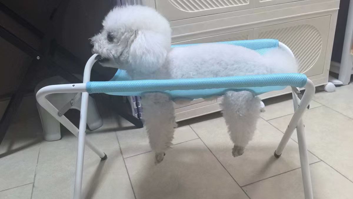 Cat Bathing Stand, Nail Clipping Holder, Anti-Scratch and Anti-Bite Pet Grooming Hammock for Small Dogs, Dog Bathing Tool