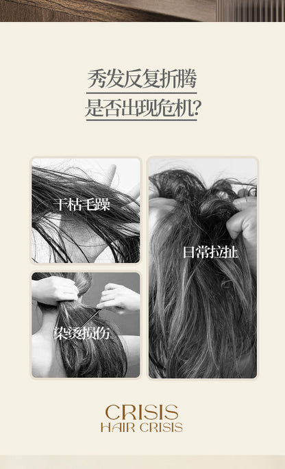 Natural and Authentic Boar Bristle Air Cushion Comb Air Bag Massage Comb Scalp Meridian Fluffy Bamboo Comb Beech Wood Comb Wholesale