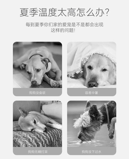 Summer Animal Modeling Small Bee Dog Life Jackets Medium Small Dog Universal Dog Swimsuit Pet Flotation Suit