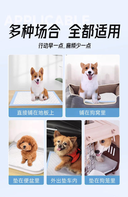 Cross-Border E-Commerce Dog Pee Pads, Thickened Deodorizing Disposable Diapers, Pet Urine-Absorbing Pads for Rabbits and Cats