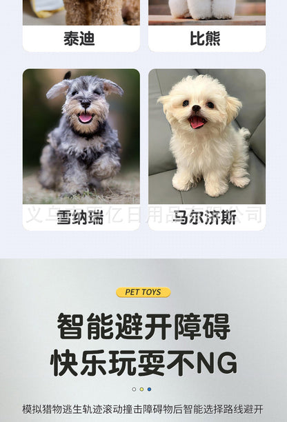 Cross-Border Cat Teaser Ball Pet Toy Ball Dog and Cat Self-Entertainment Boredom-Relief Gadget Pet Toy Cat Toy Pet Supplies