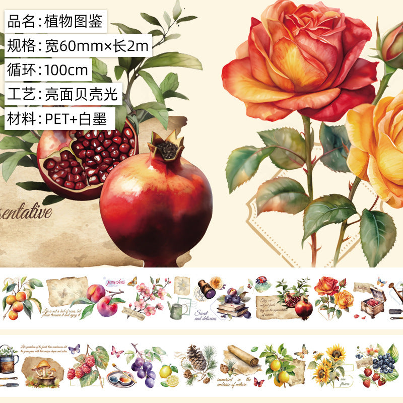 Original hand account tape shell light flower decoration handmade collage diy hand account material wholesale special material pet tape