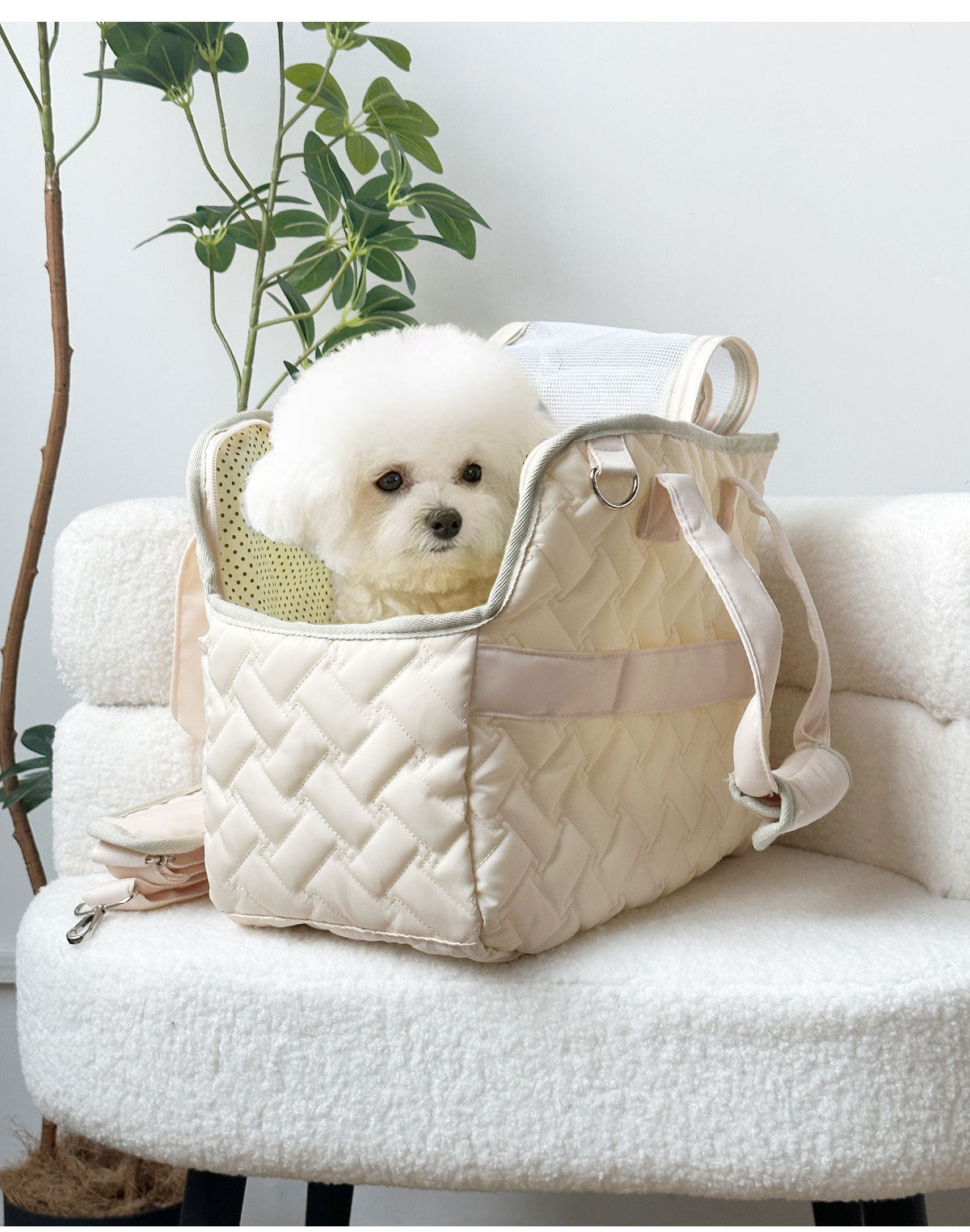 Cat Bag Outgoing Portable Breathable Shoulder Breathable Small Dog Bag Portable Lightweight Canvas Cat Pet Crossbody Backpack