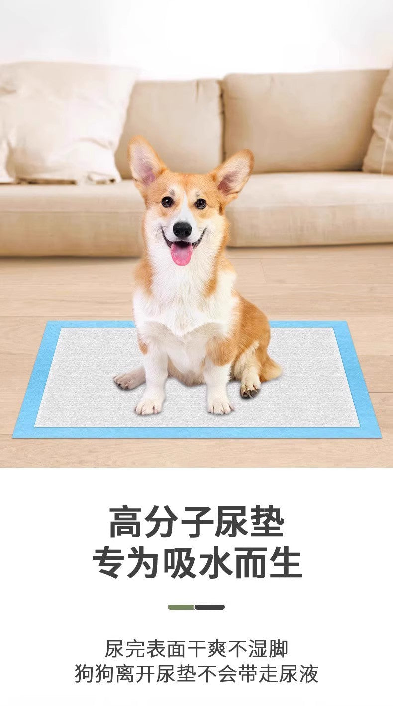 Dog Pee Pads Cross-Border Shipping Pet Training Pee Pads Disposable Thickened Deodorizing Absorbent Diapers Wholesale