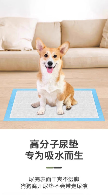 Pet Pee Pads, Thickened, Deodorizing, Absorbent, Dog Pee Pads, Cat Pee Pads, Teddy Toilet Disposable Diapers Wholesale